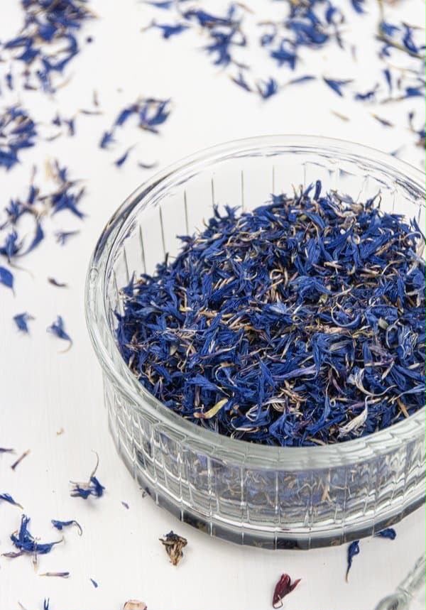 Blue Cornflower