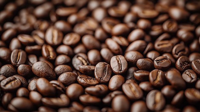 Premium Coffee Beans — Ramport International LLP