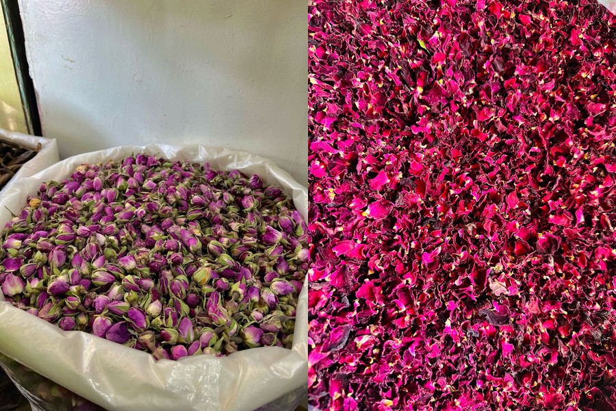 Rose Buds and Petals